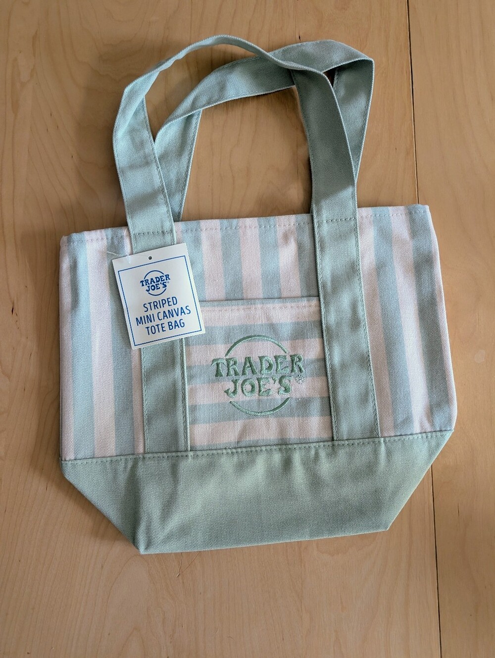 NEW striped mini canvas tote bag in seafoam green